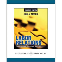 Image of Labor Relations: Development, Structure, Process